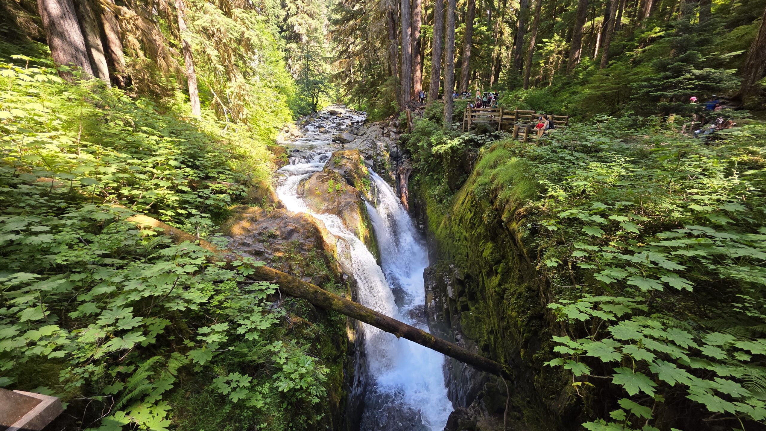 Wodospady Sol Duc Falls w Olympic National Park – potężne kaskady wśród zielonego lasu, jedno z najpiękniejszych miejsc na szlaku Sol Duc Falls Trail