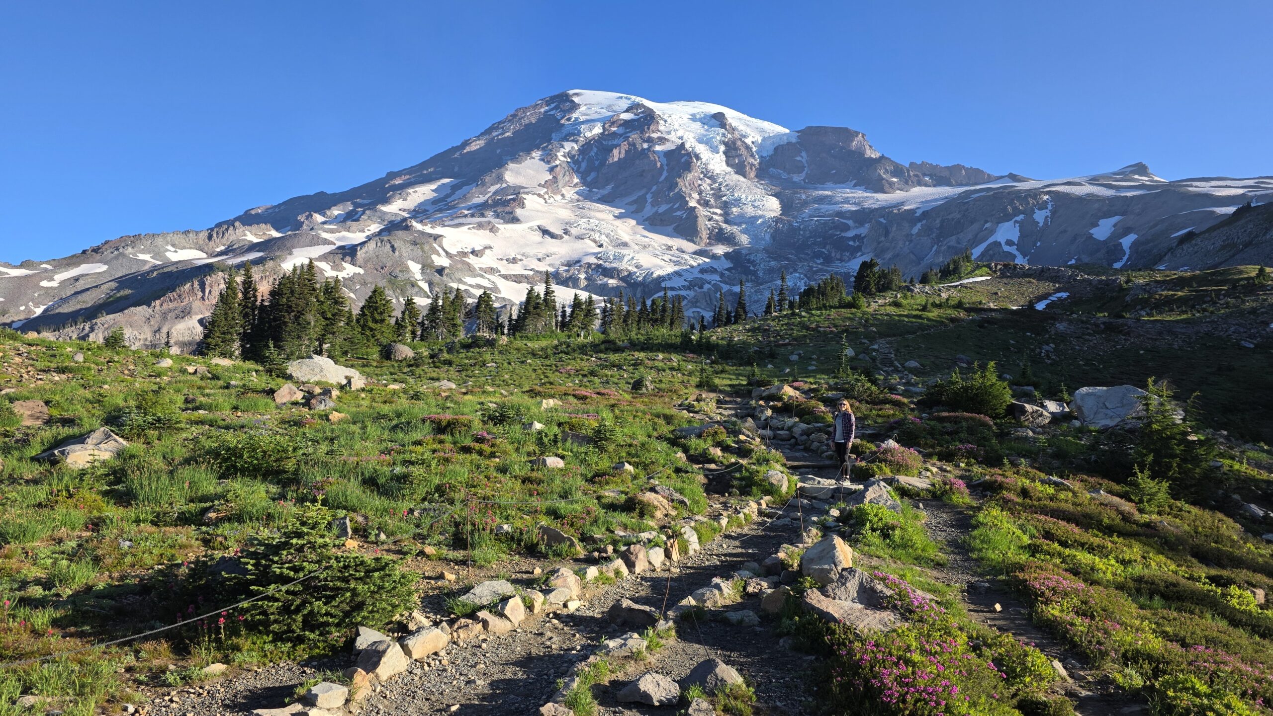 Mount Rainier National Park – przewodnik po najpiękniejszych miejscach
