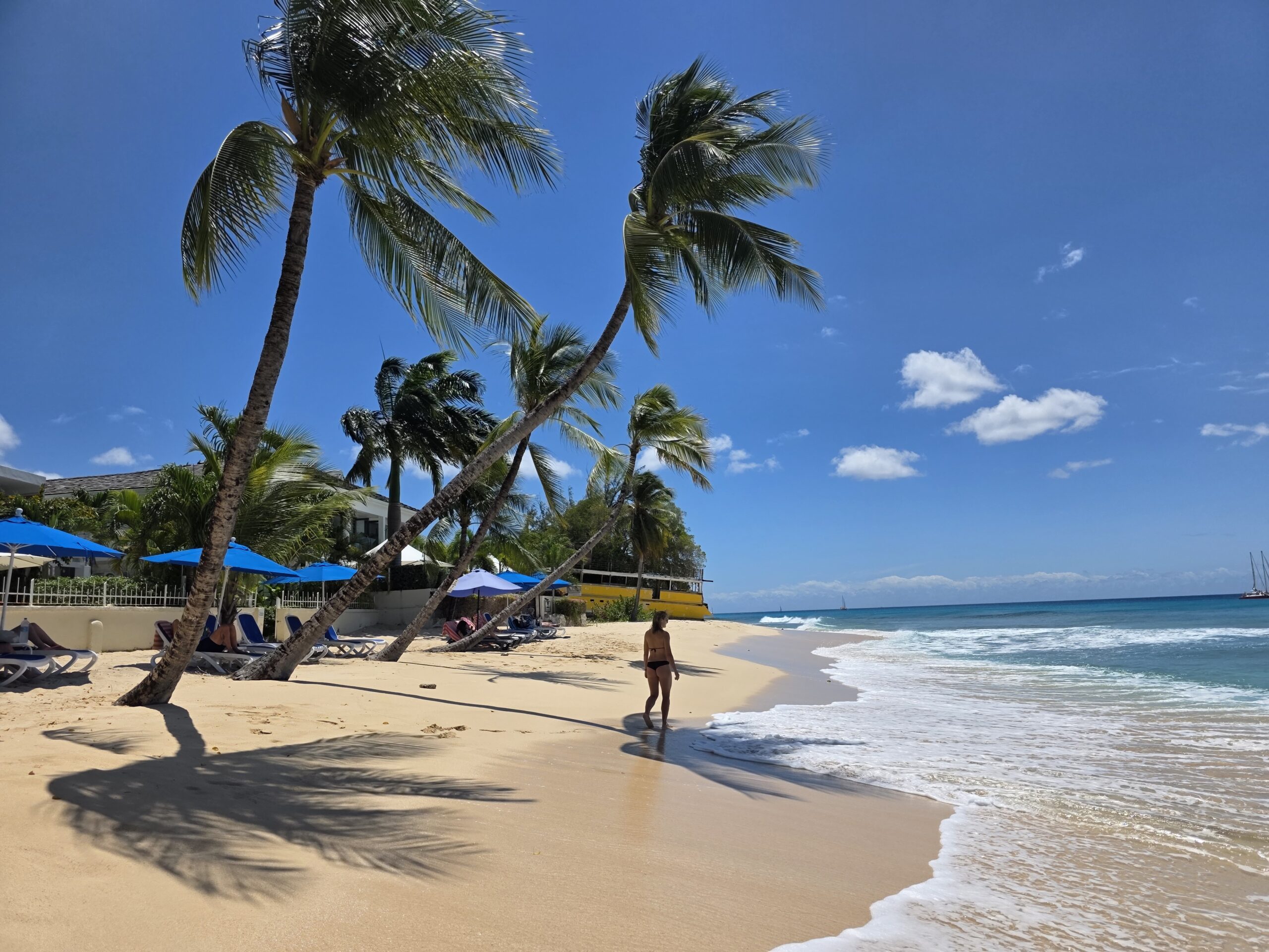 Brandons Beach na Barbadosie, palmy i plaża na zachodnim wybrzeżu