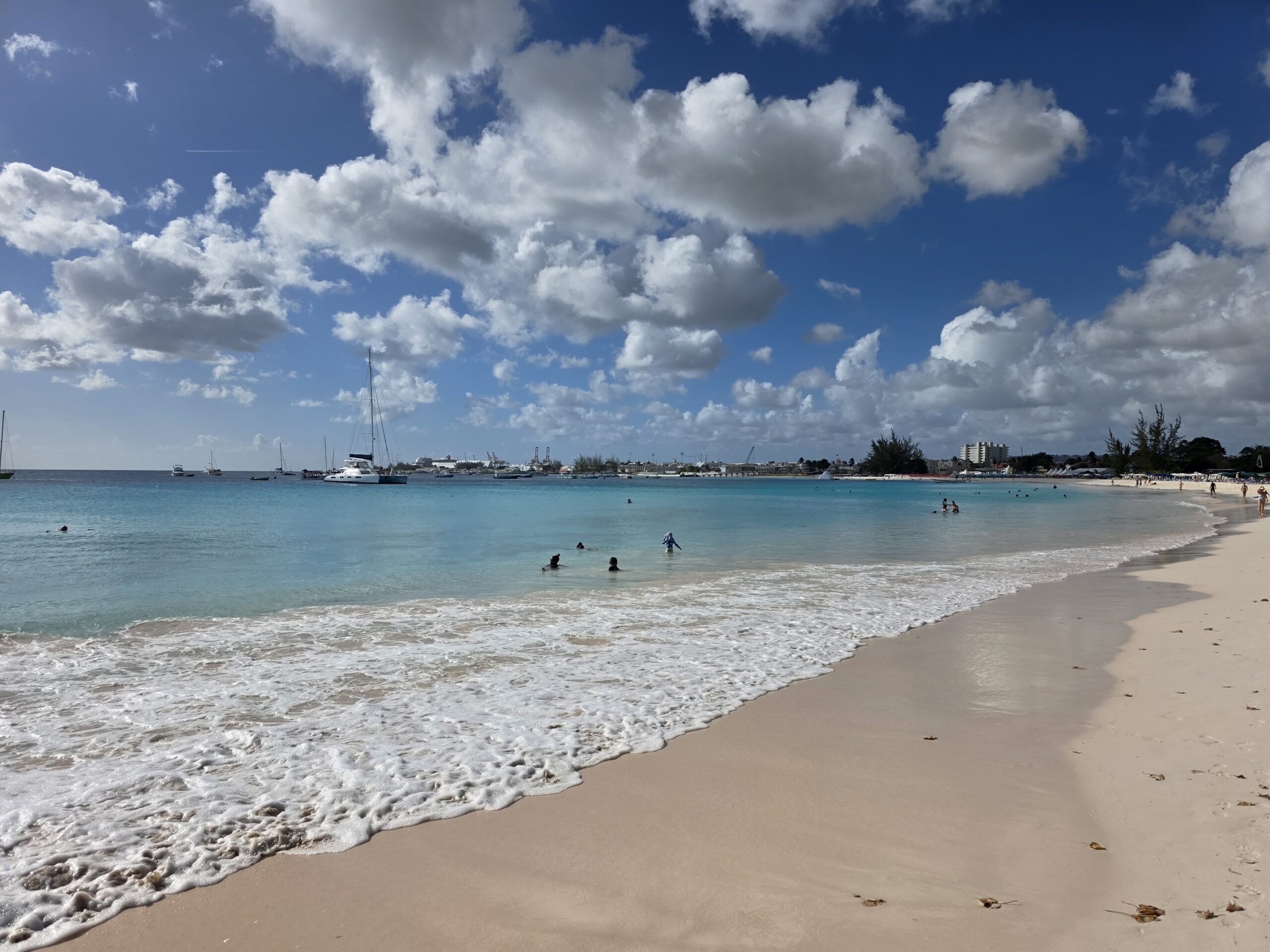 Carlisle Bay na Barbadosie, zatoka blisko Bridgetown z jachtami